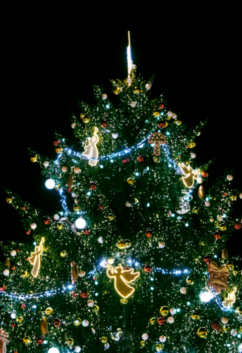 Vánoční trhy Chomutov 2026