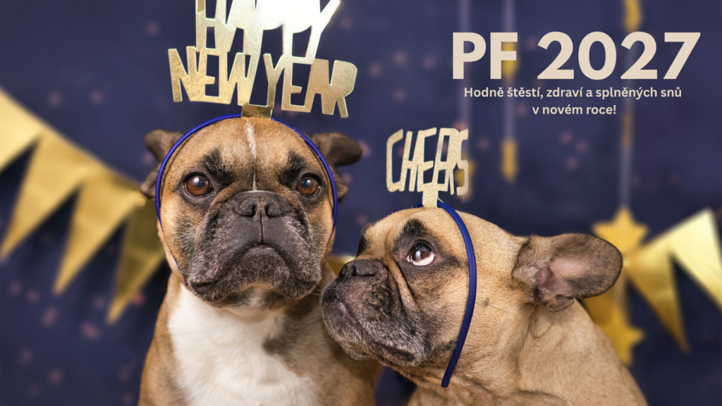 Novoročenka PF 2027 s pejskem