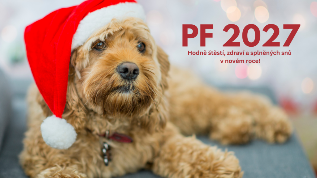 Novoročenka PF 2027 s pejskem