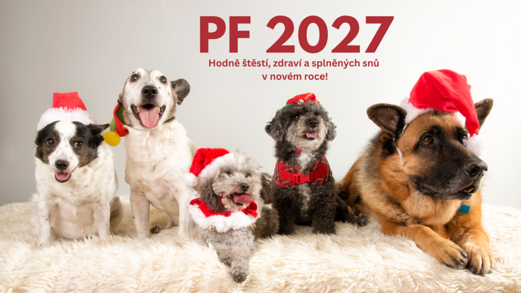 Novoročenka PF 2027 s pejskem